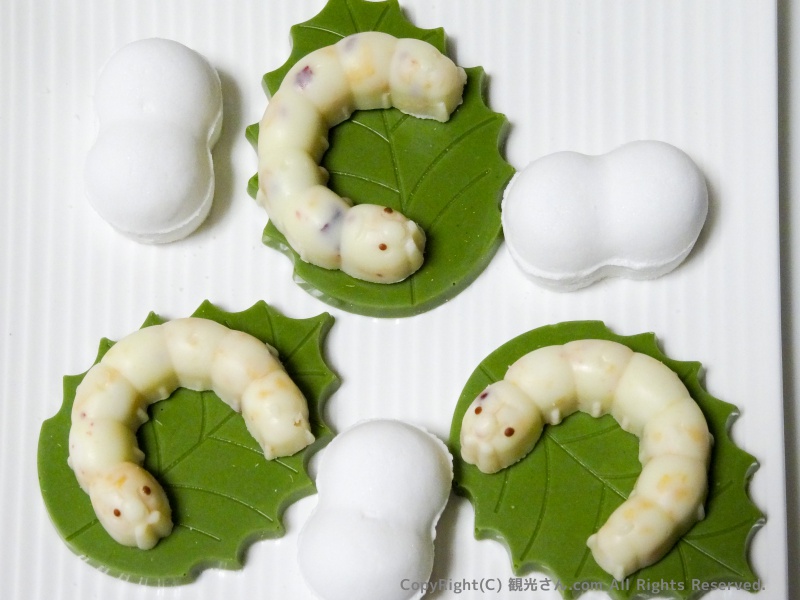 富岡名物「まゆこもり」と一緒に撮影してみた