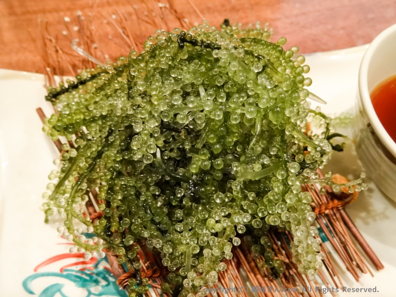 海ぶどう