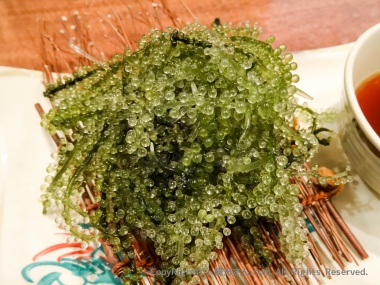 海ぶどう