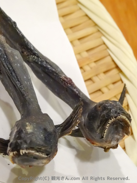 ムツゴロウの顔