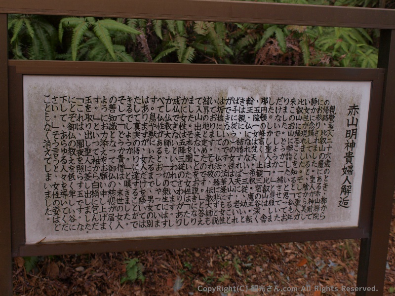 解説ボード
