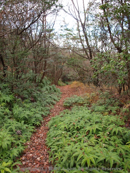 山道