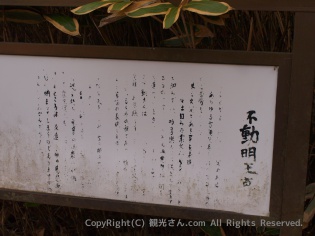 読めない