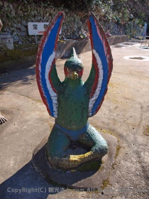 雉