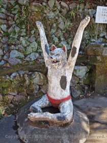 犬