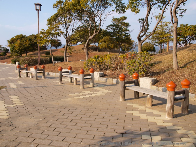 高知県の…？？