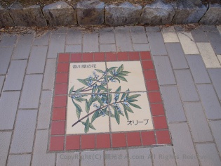 県の花