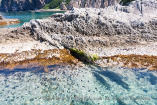 周辺の水