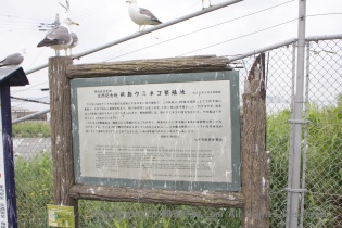 看板