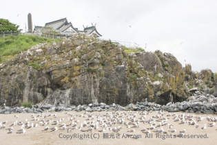 蕪島海浜公園