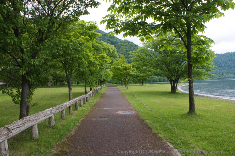 緑につつまれた道