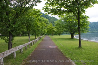 緑につつまれた道