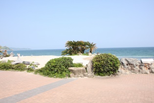 海亀の浜