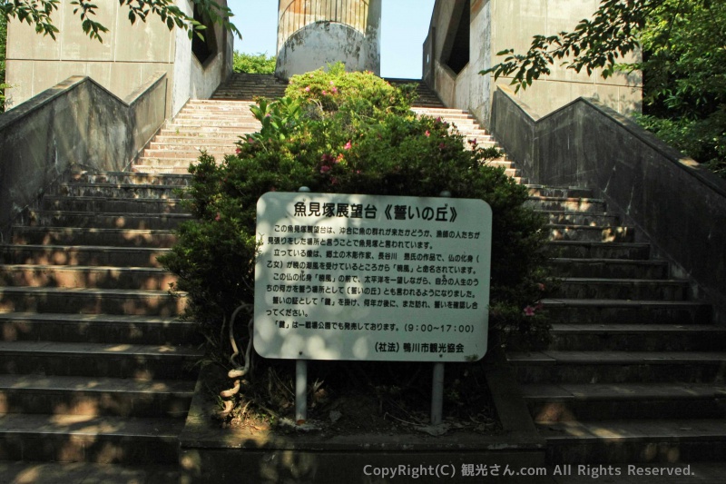 案内板