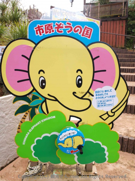 市原ぞうの国マスコットのエルファ