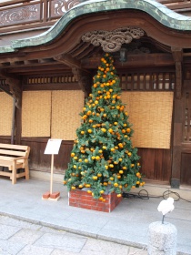 みかんのツリー
