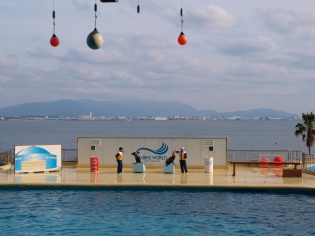 ショープール