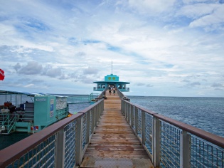 沖合300m