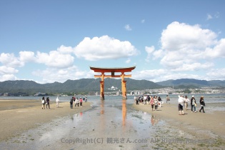 大鳥居の全体