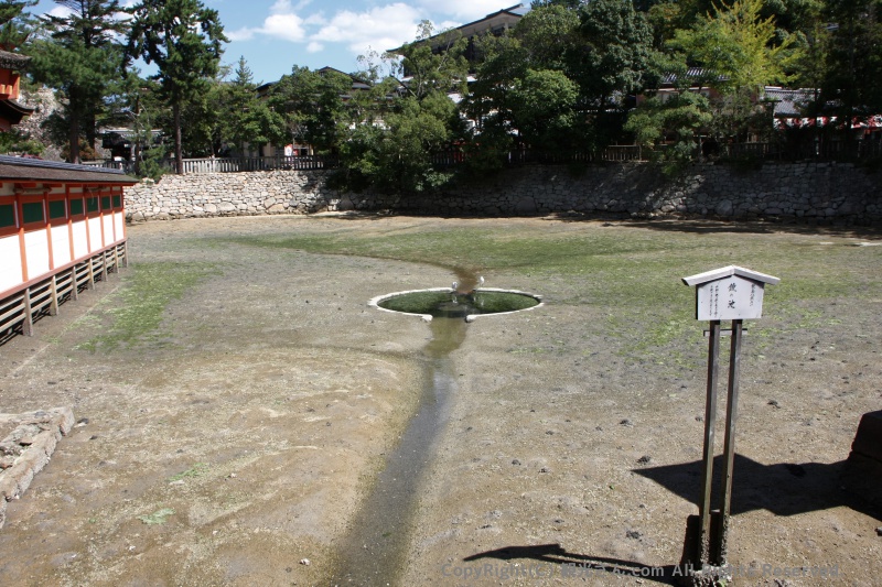 鏡池全体