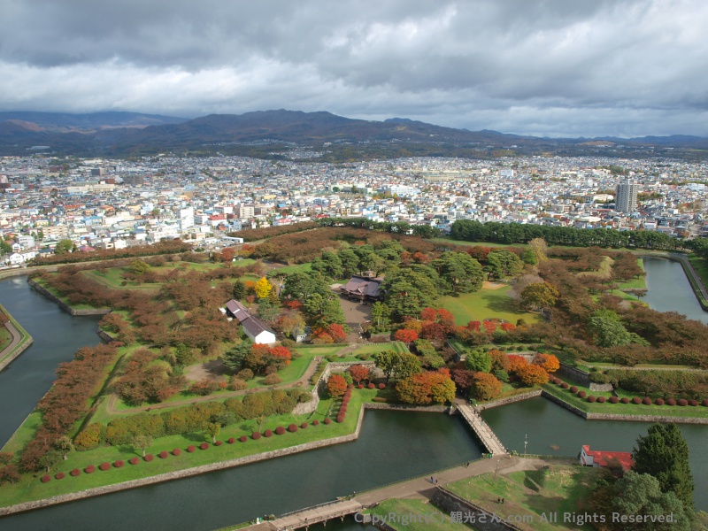 地上の星