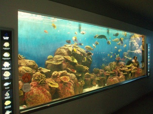 ザ・水族館