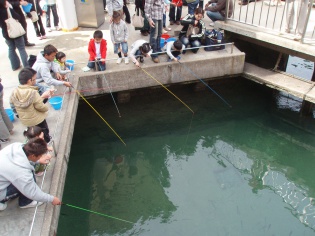 アジ釣り