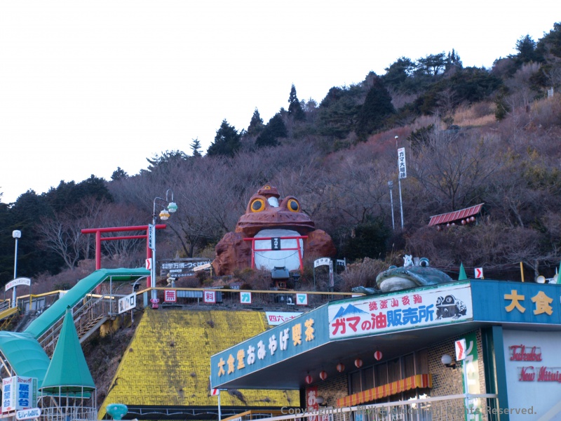 空を飛んだガマ