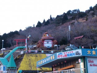 空を飛んだガマ