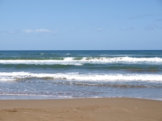 海