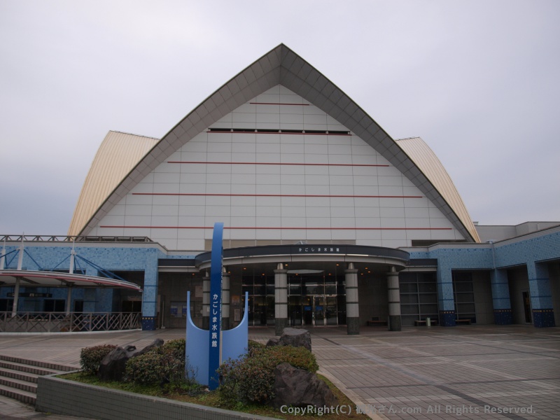 いおワールドかごしま水族館