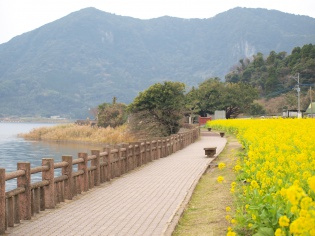 池田湖周囲を散歩