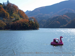 相模湖とサガシー