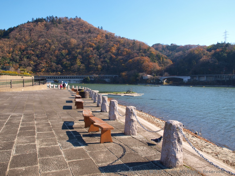 のんびりいい雰囲気
