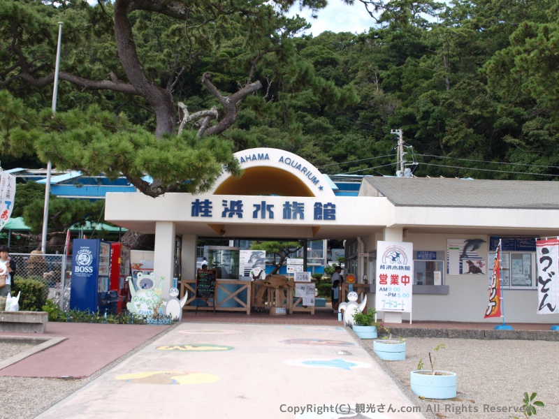 桂浜水族館