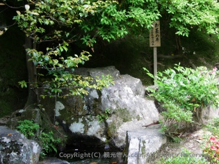 お茶の井