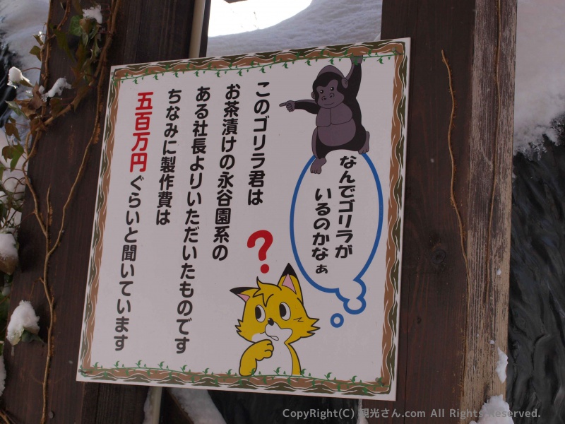 何でゴリラがいるのかなぁ