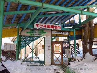 キツネ専用場内