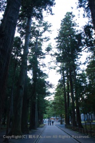 林道