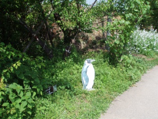 自然体験ゾーンの散策路