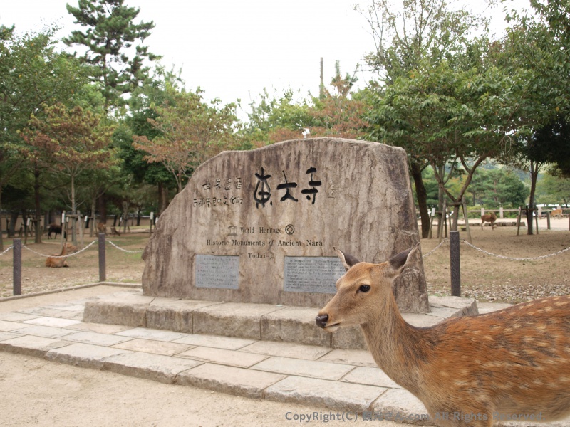 東大寺