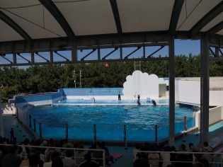 イルカのショープール