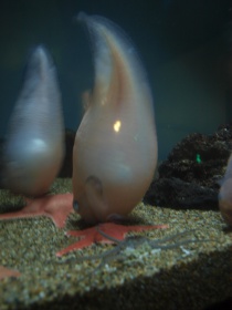 死んでないよ！！