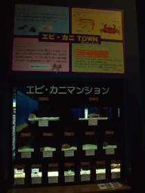 エビカニマンション