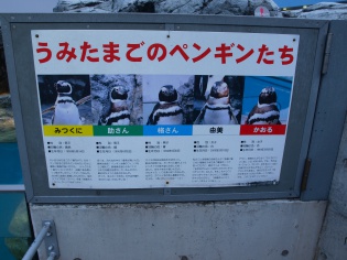 ペンギンの名前が…