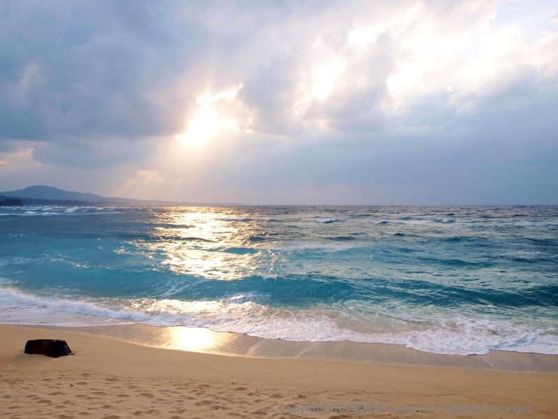 やっぱ海きれい