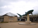 沖縄美ら海水族館