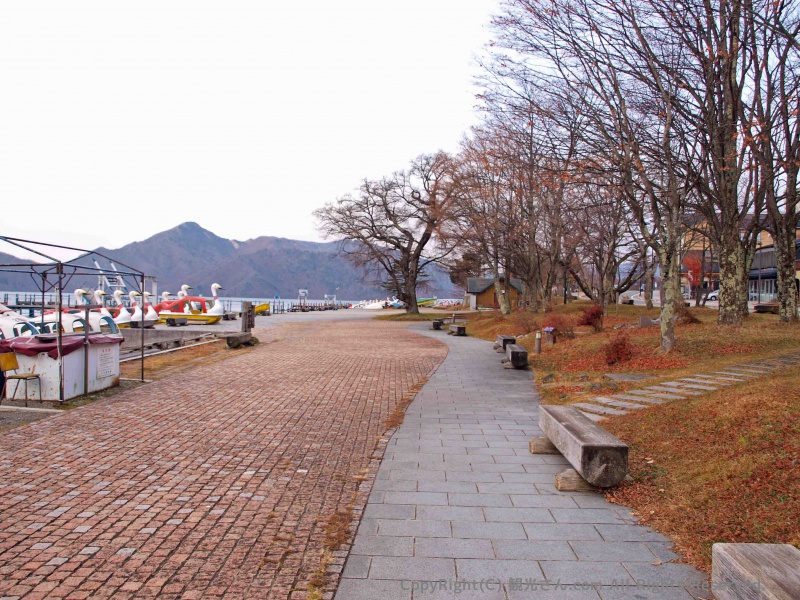 散歩道