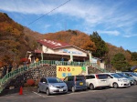 鬼怒川温泉ロープウェイ・おさるの山