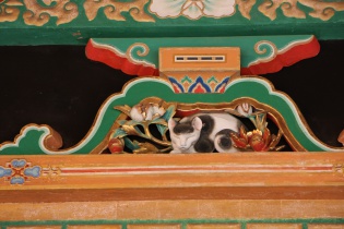 眠猫